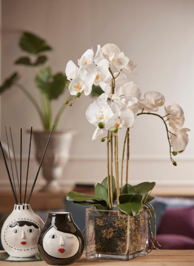Orchidee in glazen pot